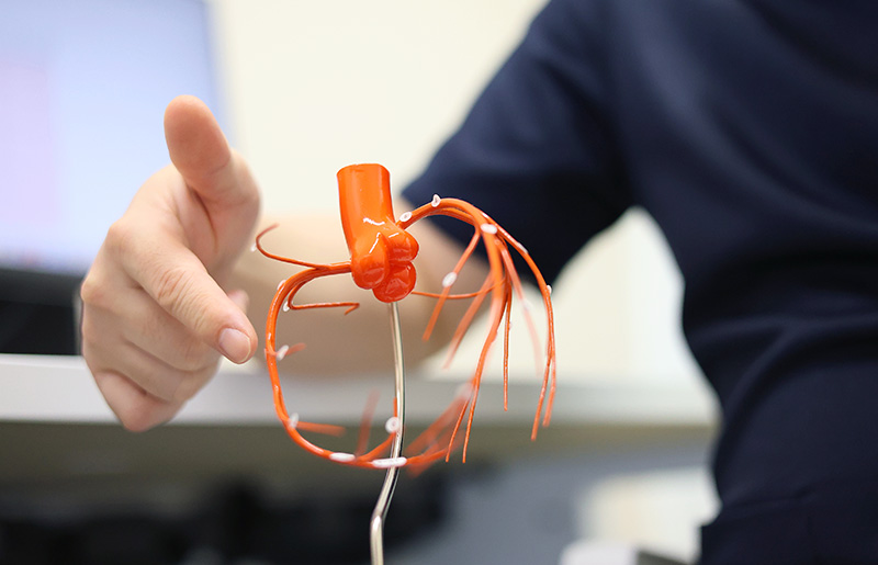 弁膜症・虚血への治療（PCI/TAVI）