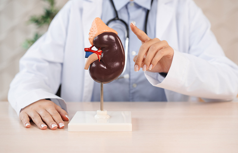 合併症（腎臓・心房細動・糖尿病・貧血）