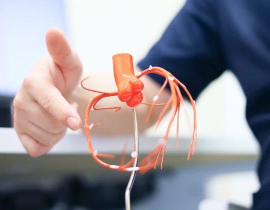 循環器専門医による専門的な治療