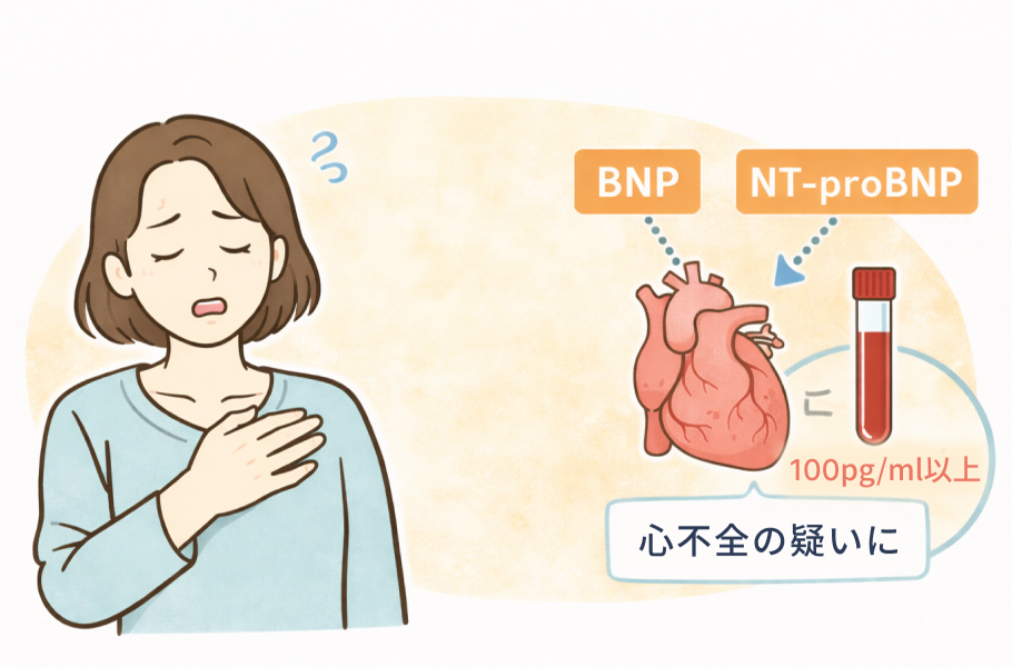 BNP/NT-proBNPとは (検査値の意味)